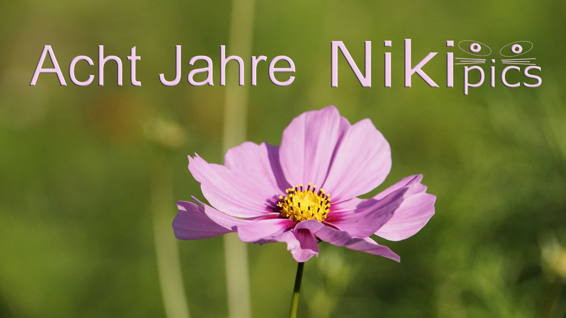 Acht Jahre Nikipics