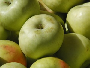 Ein Apfel unter vielen