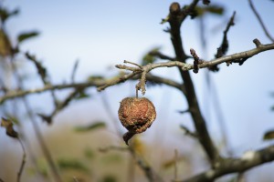 Faul am Abhängen Faul am Abhängen