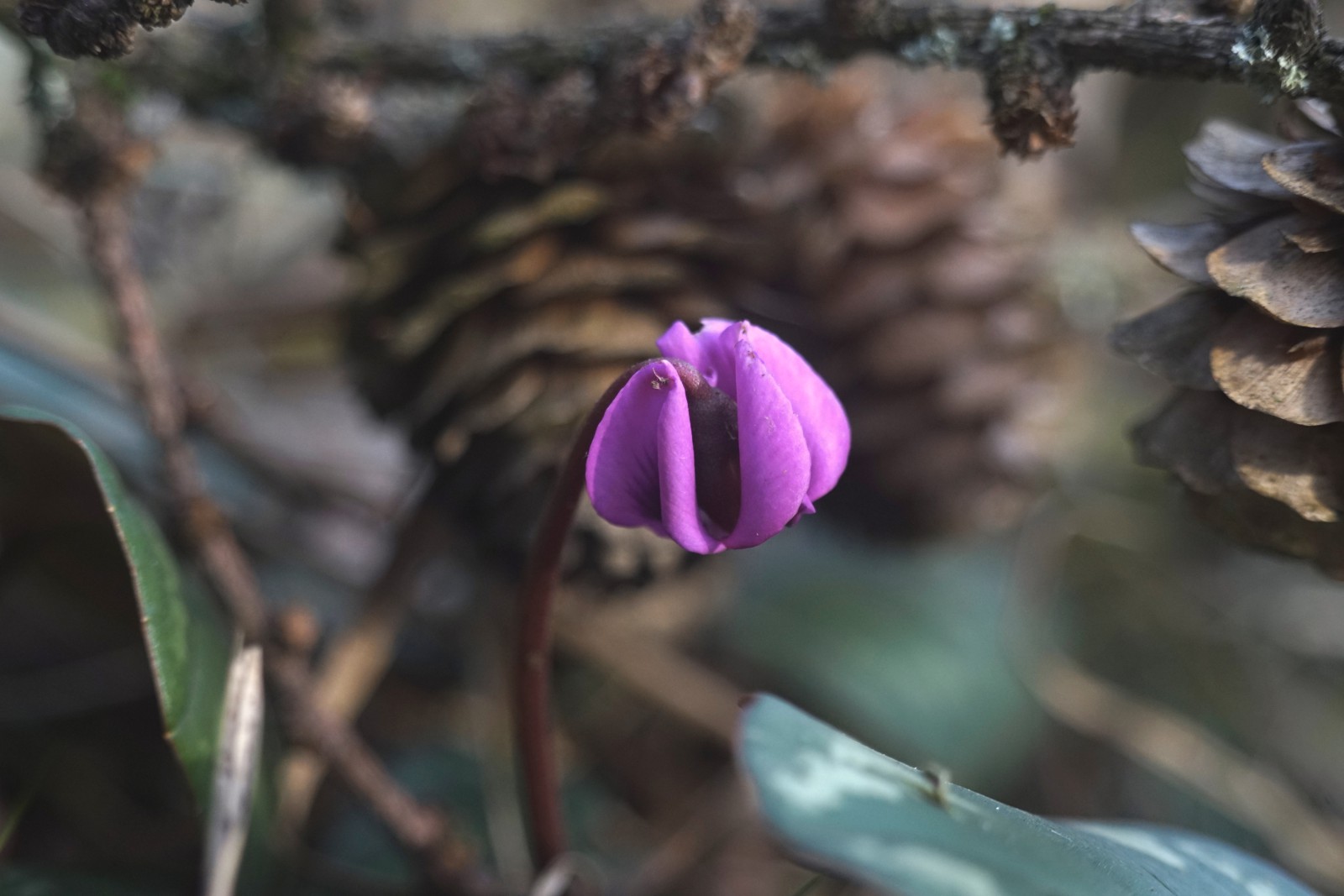 Die ersten trauen sich raus Die ersten trauen sich raus