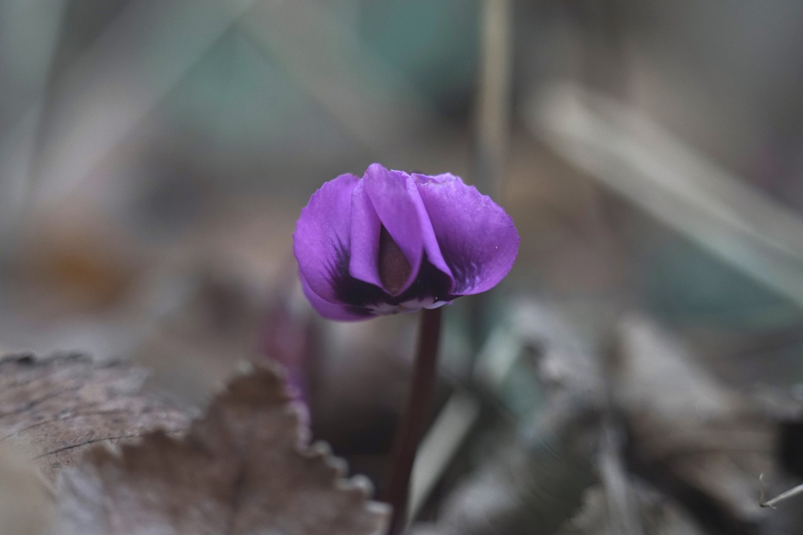 Die ersten sind schon da Die ersten sind schon da