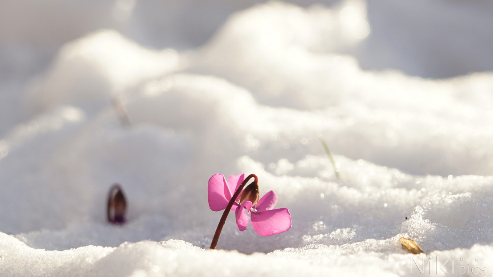 Endlich raus an die Sonne Endlich raus an die Sonne