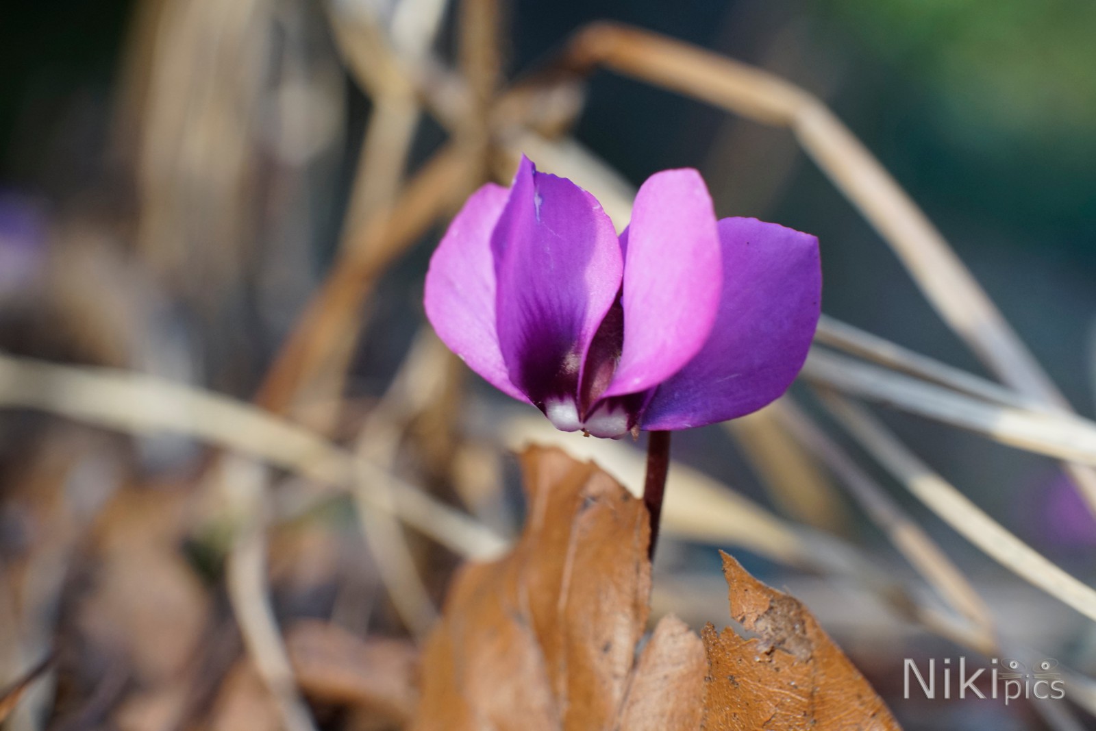 Na, der Winter schon vorbei? Na, der Winter schon vorbei?