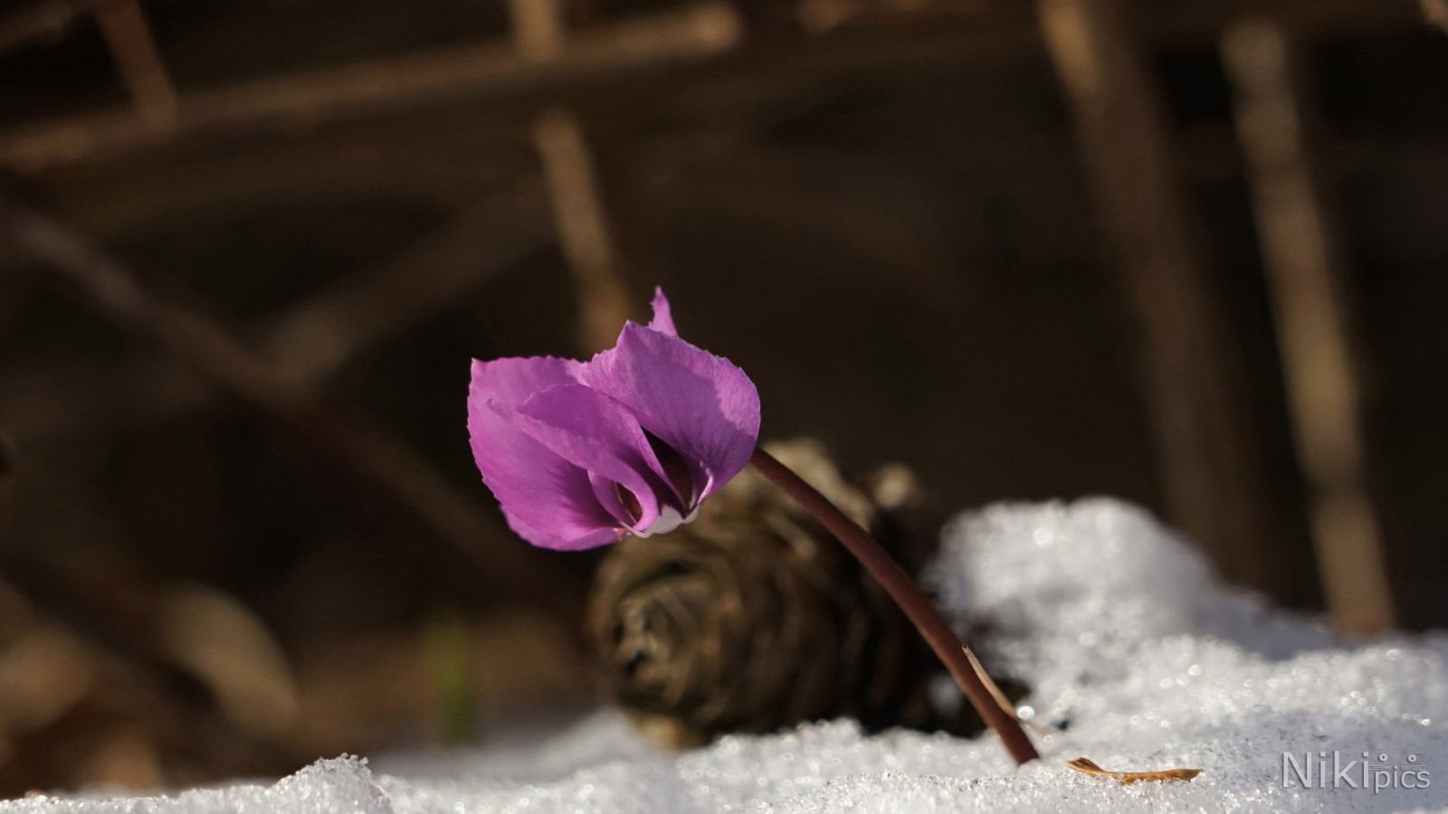 Raus aus dem Winterschlaf Raus aus dem Winterschlaf