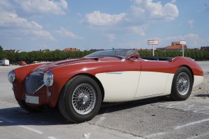 Austin Healey 100 Seitenansicht Austin Healey 100 Seitenansicht