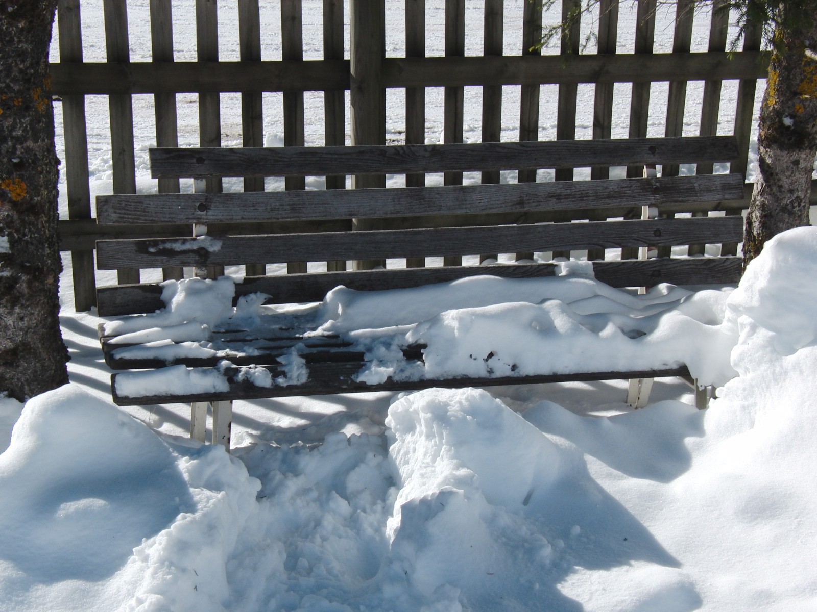 Auch im Schnee ein Ruheplatz Auch im Schnee ein Ruheplatz