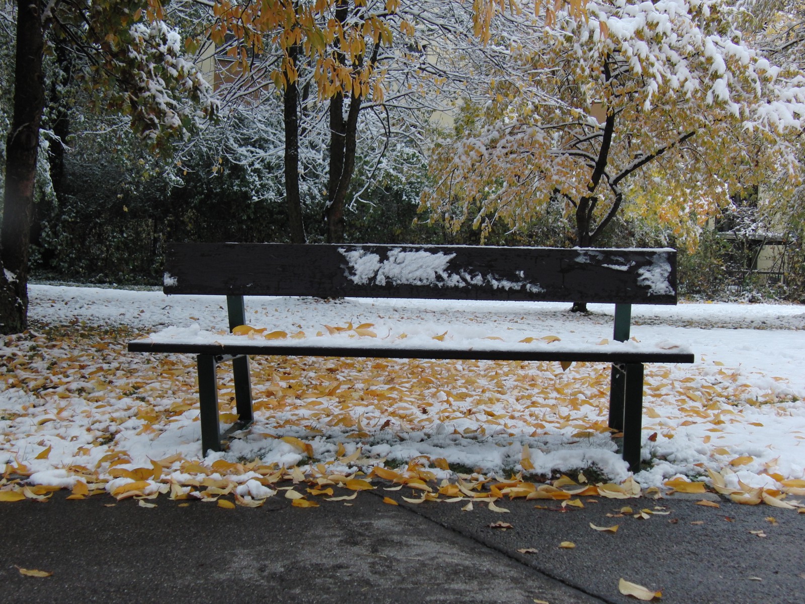 Holzparkbank im Schmudelherbst Holzparkbank im Schmudelherbst