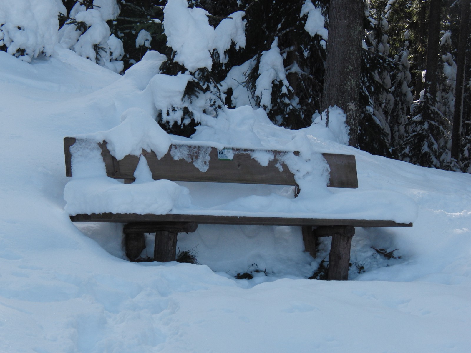 Kalte Holzbank Kalte Holzbank