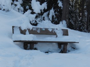Kalte Holzbank Kalte Holzbank