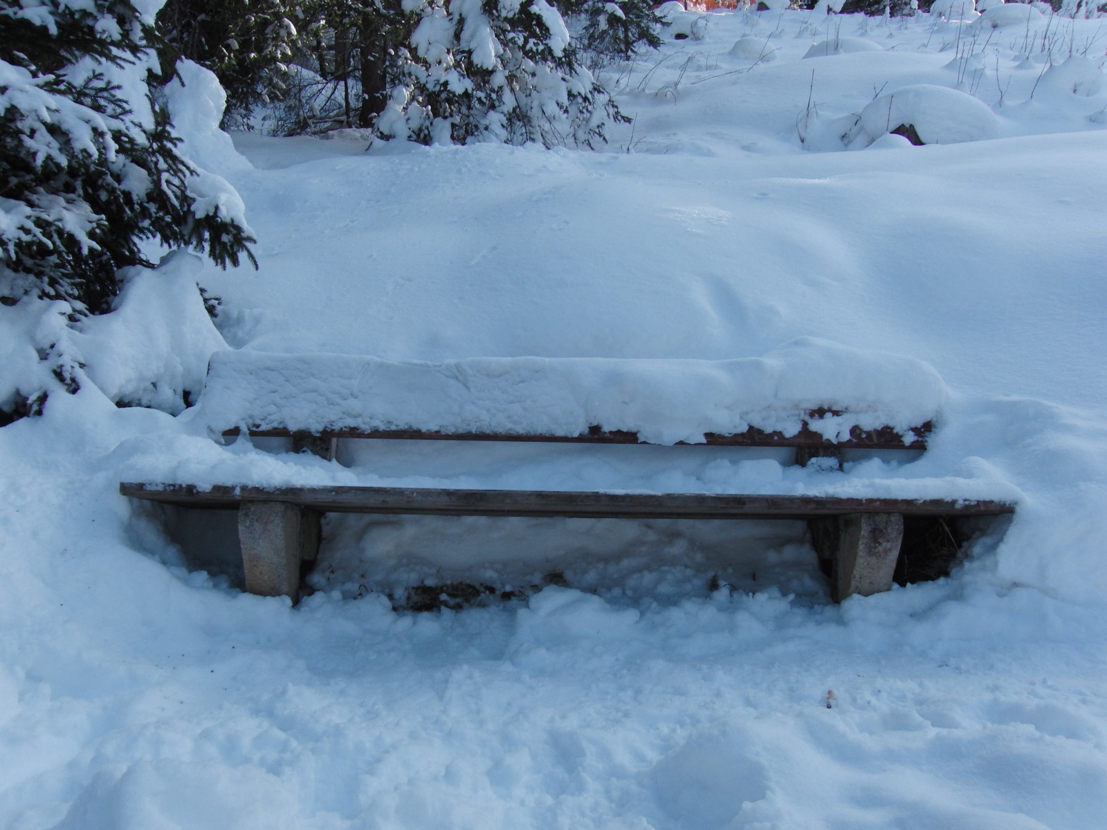 Kalte Parkbank im Winter Kalte Parkbank im Winter