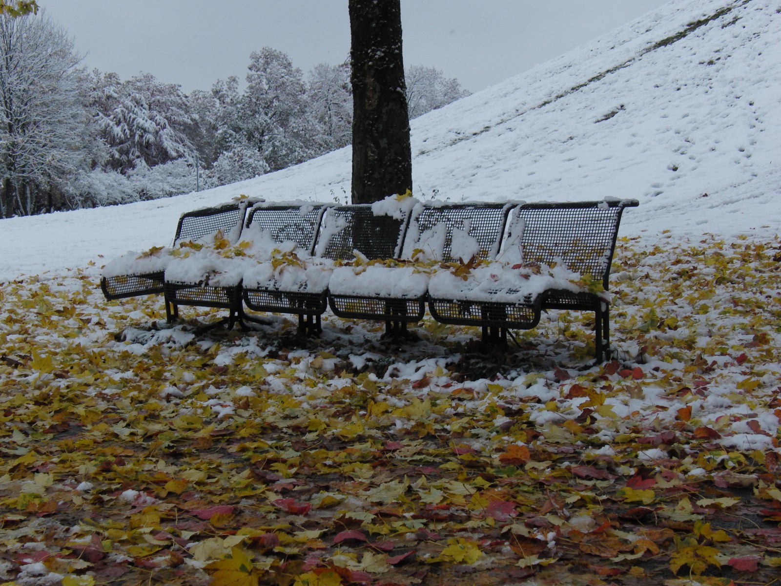 Parkbank im Schmudelherbst Parkbank im Schmudelherbst