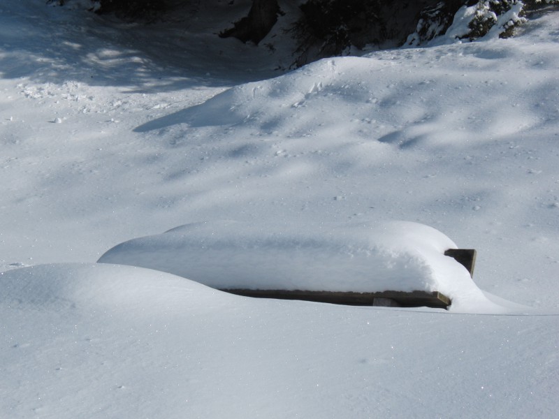  Ruhebank im Winterschlaf
