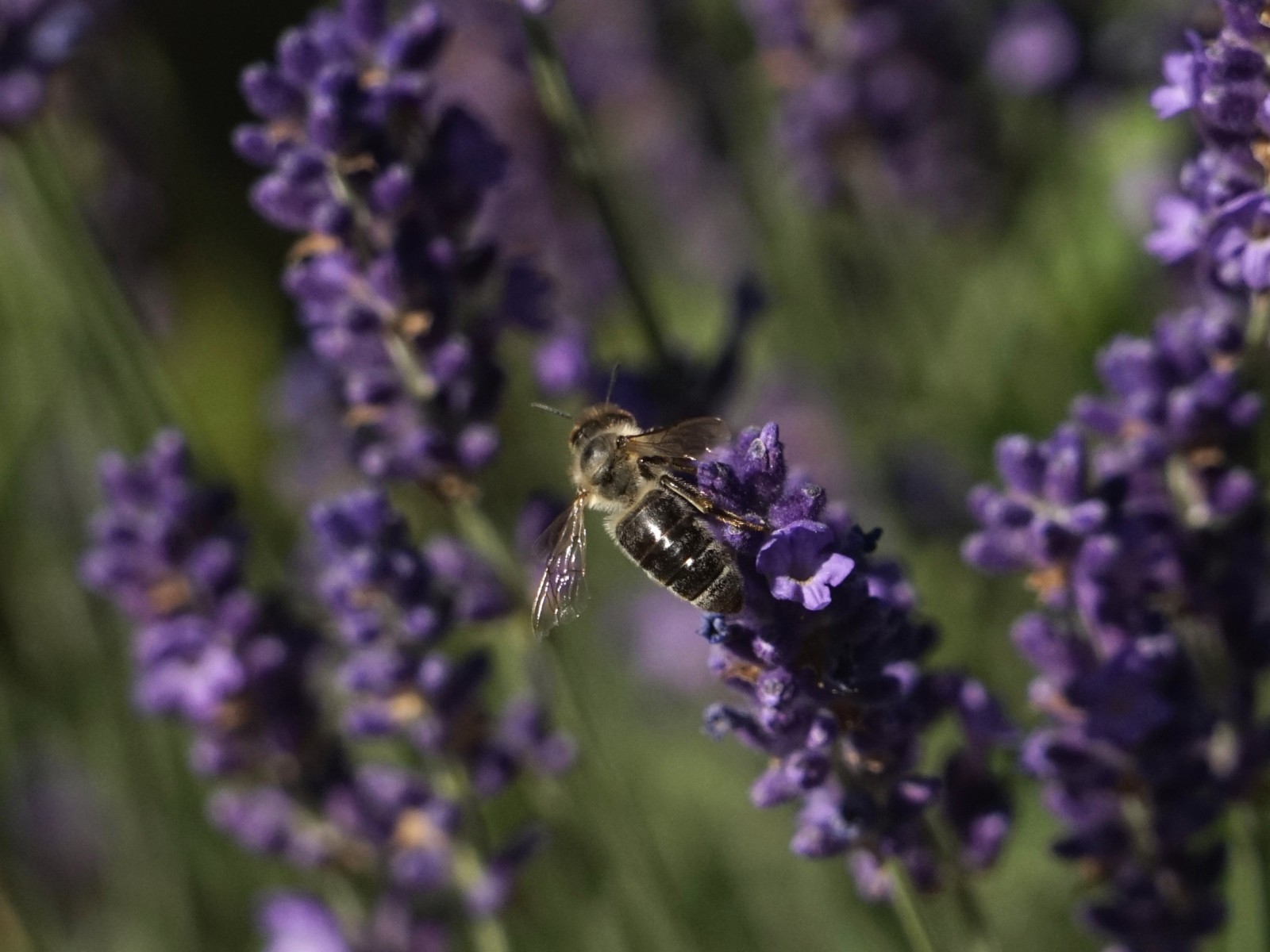 Da gibt's ja noch mehr Da gibt's ja noch mehr