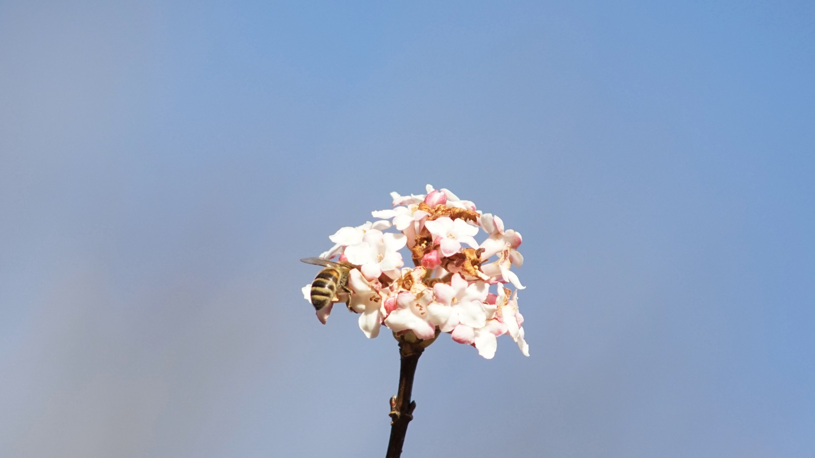 Ist da noch ein bisschen was Ist da noch ein bisschen was