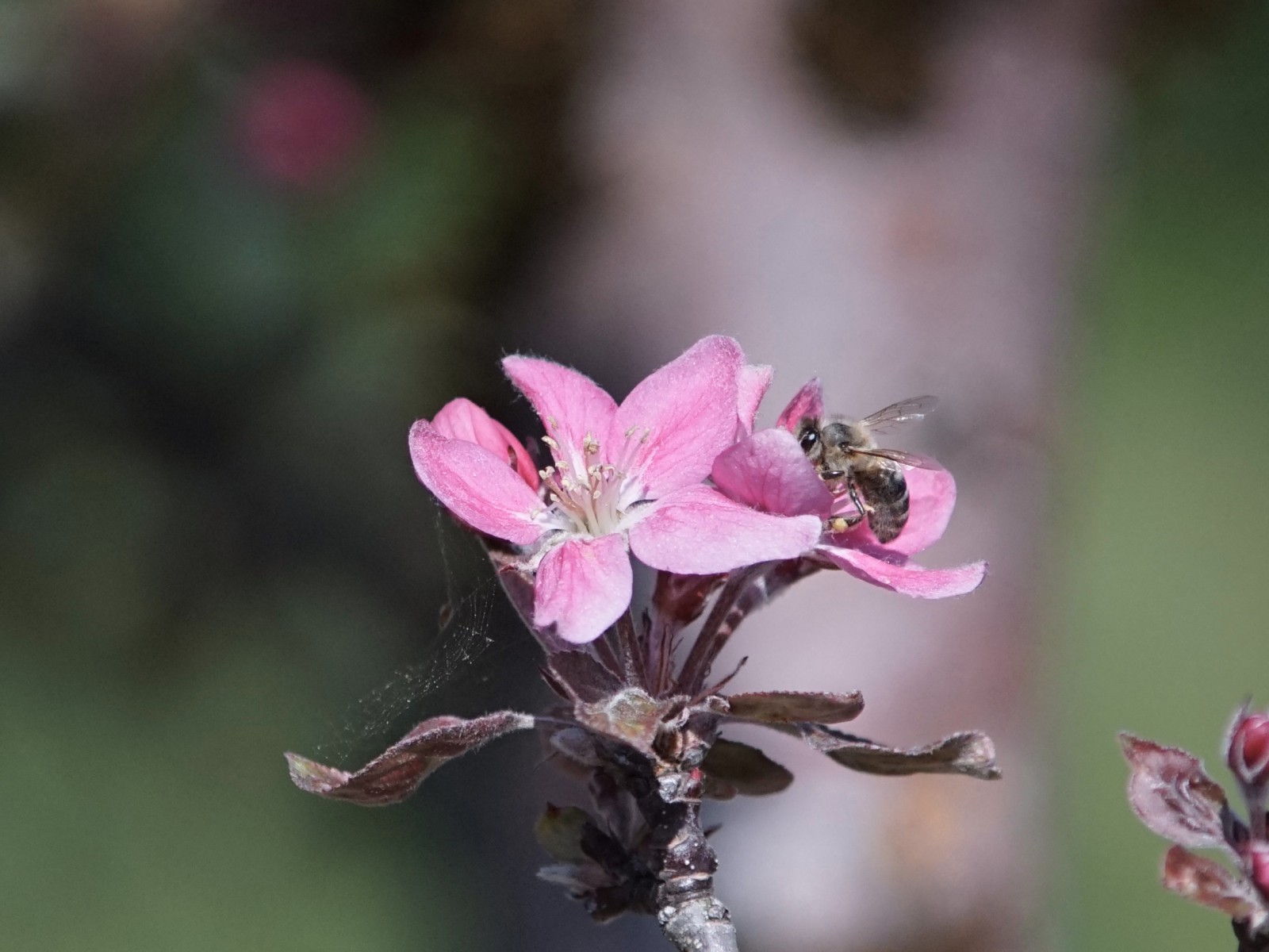 Ist da noch was übrig Ist da noch was übrig