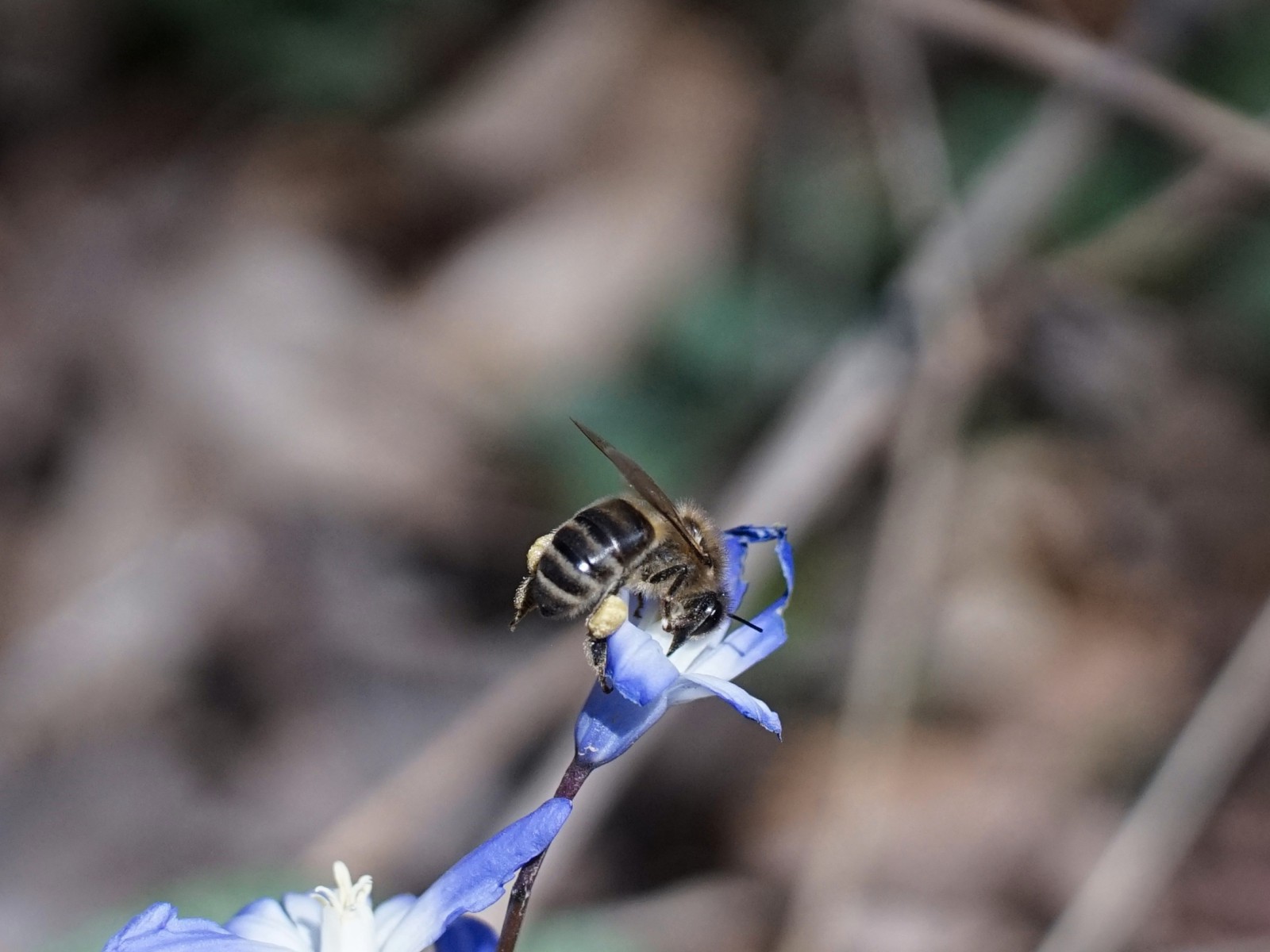 Ist da was drin Ist da was drin