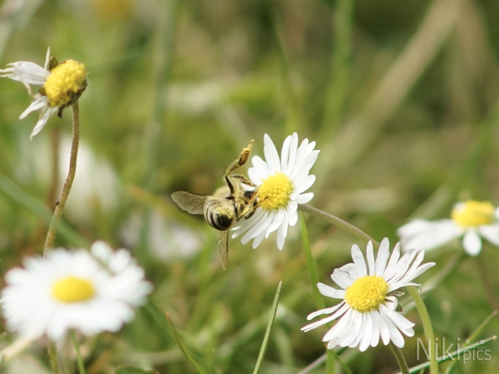 Nur nicht runterfallen Nur nicht runterfallen