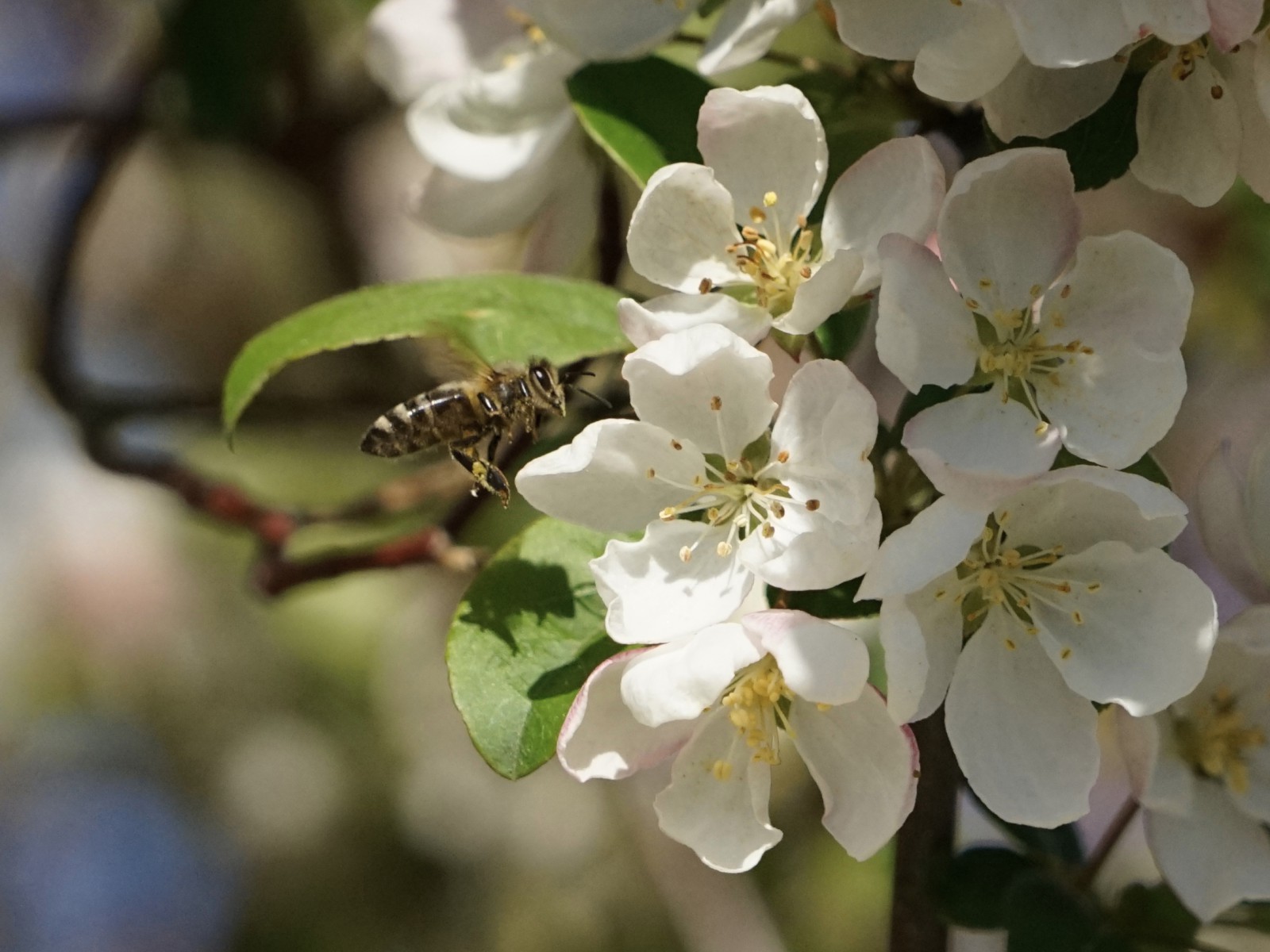 Welche nehme ich als erste Welche nehme ich als erste