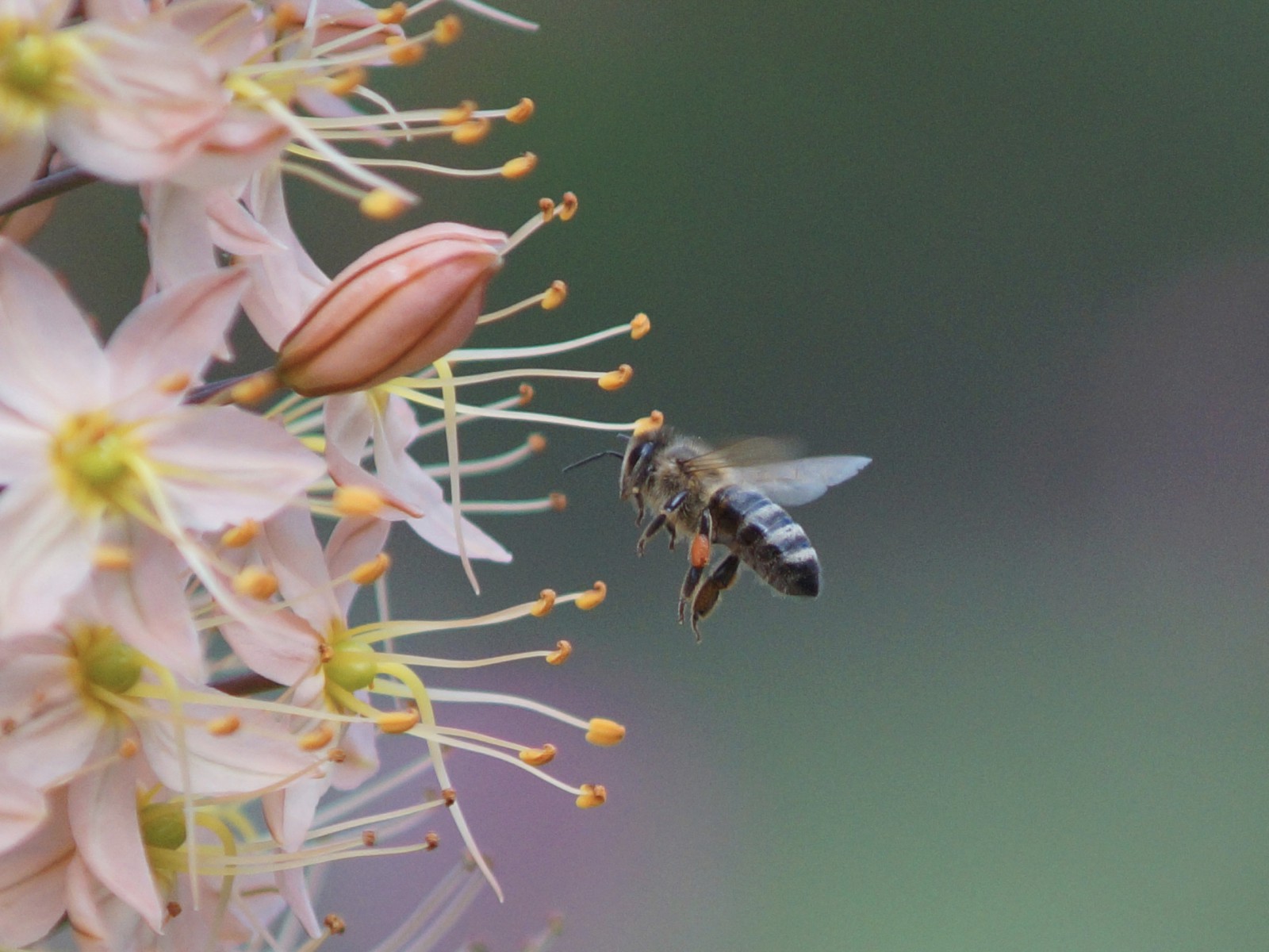 Welche nehme ich jetzt Welche nehme ich jetzt