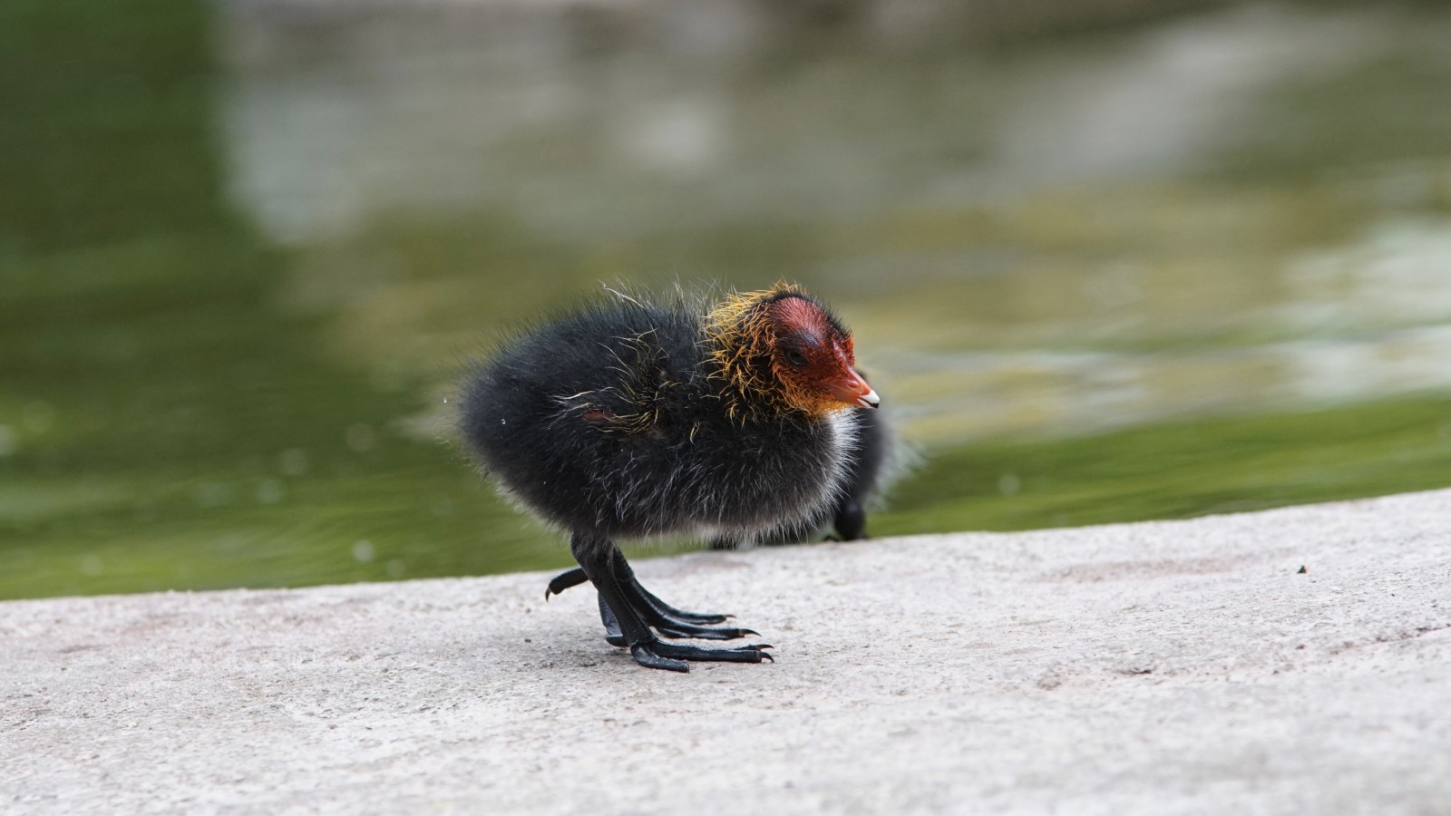 Komm mir nicht zu nahe Komm mir nicht zu nahe