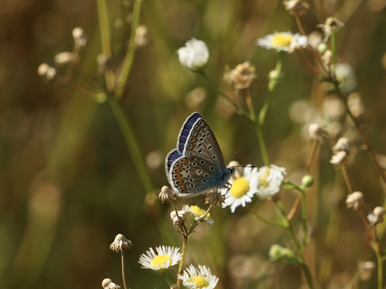 Da ist nichts mehr drin Da ist nichts mehr drin