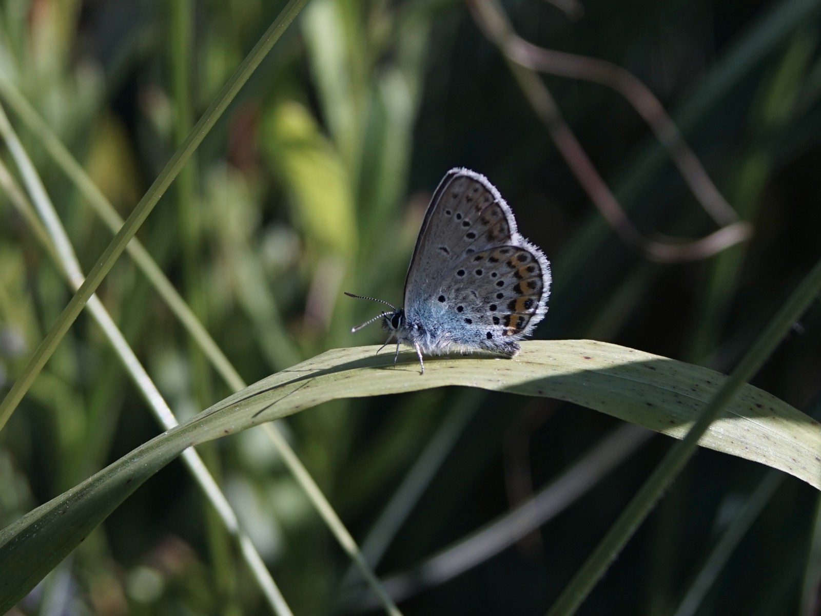 Raus aus dem Schatten Raus aus dem Schatten