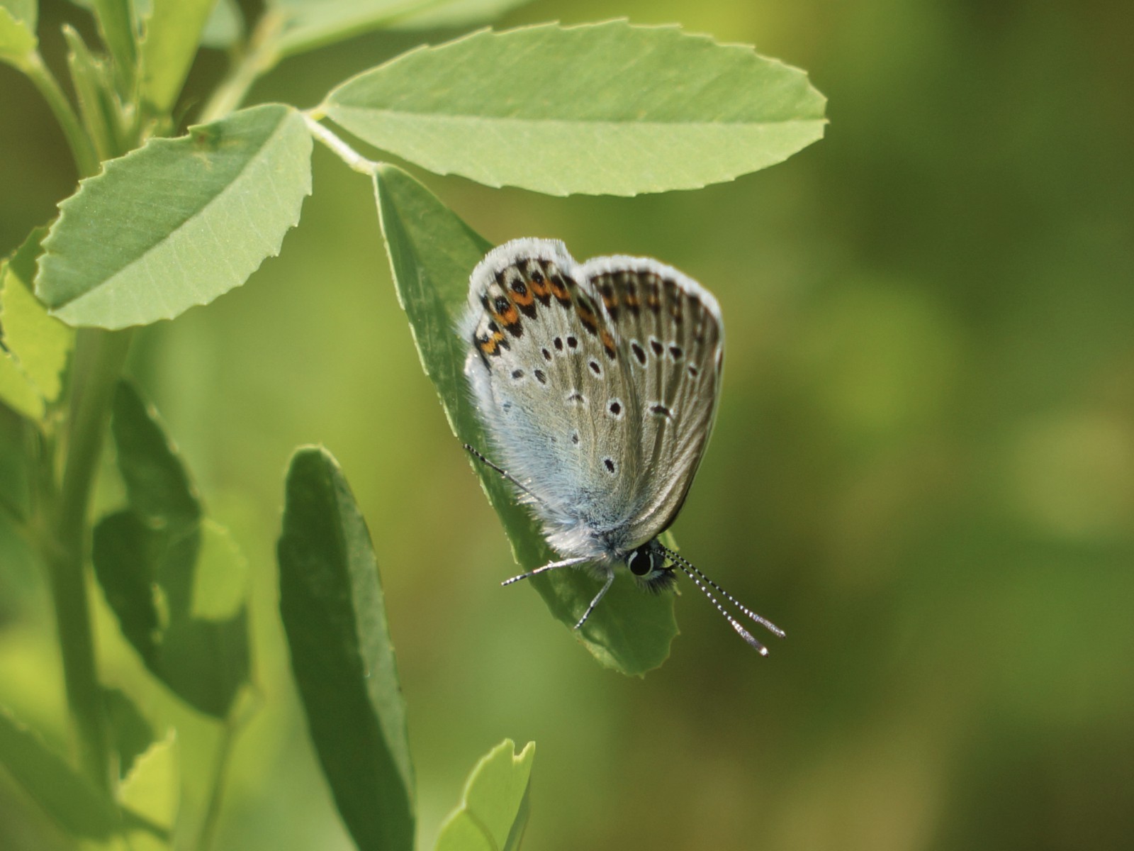 Was gibts da unten noch Was gibts da unten noch