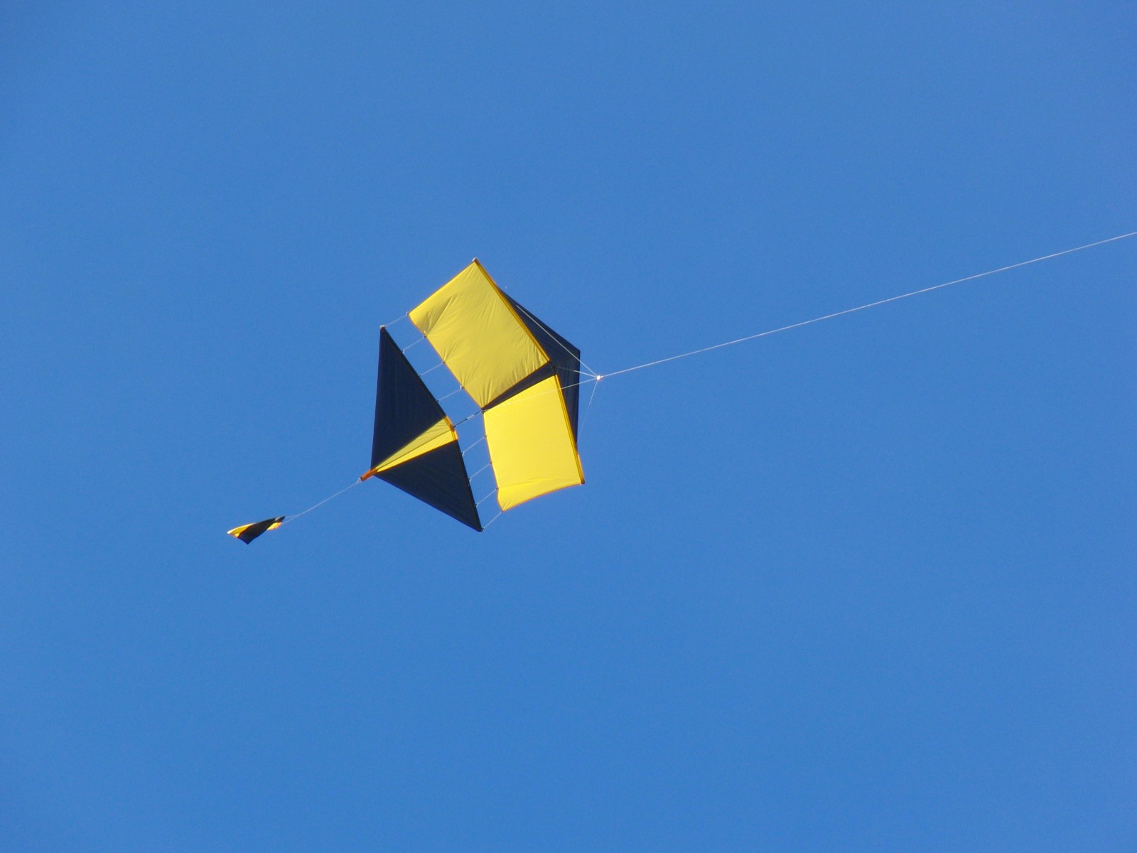 Drachen gelb-blau Drachen gelb-blau