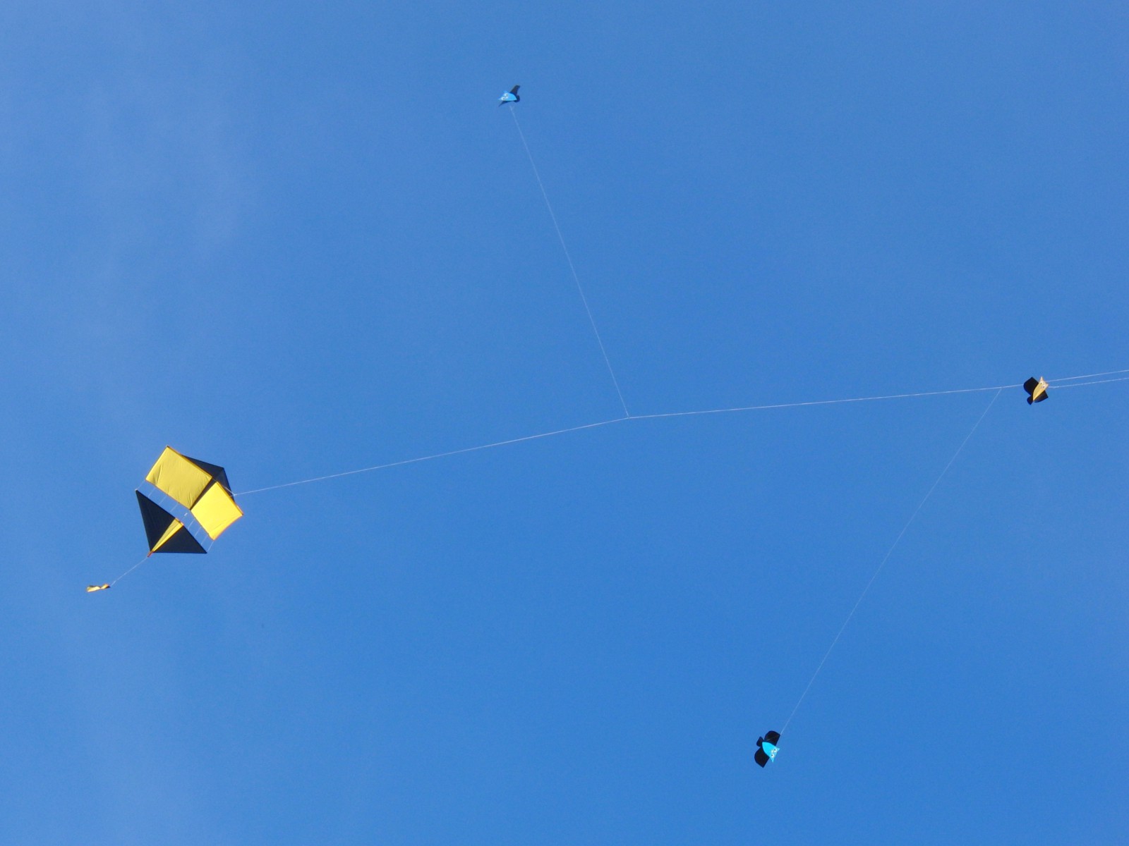 Drachen quartett Drachen quartett