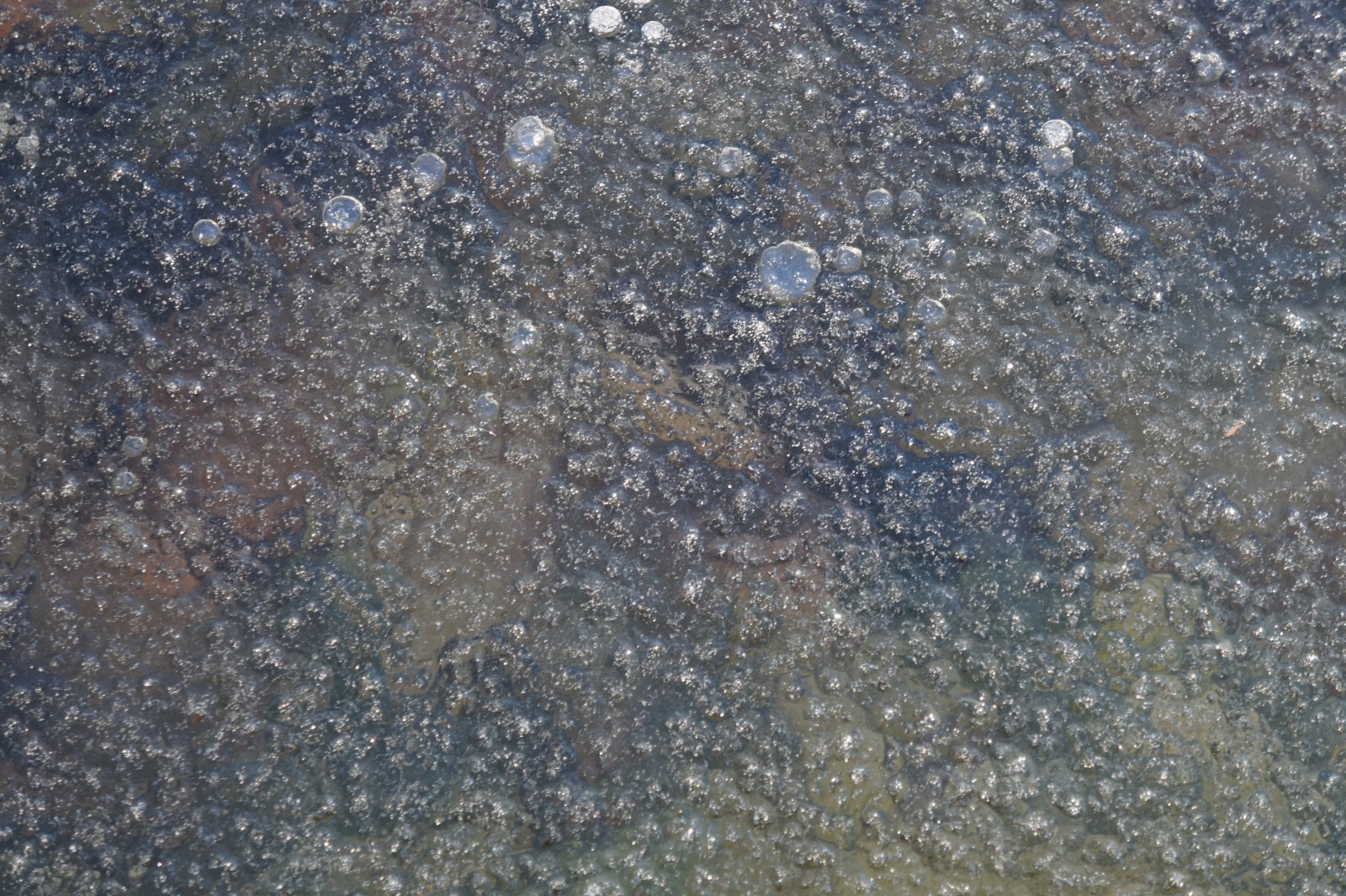 Dünnes Eis am Ufer 3 Dünnes Eis am Ufer 3