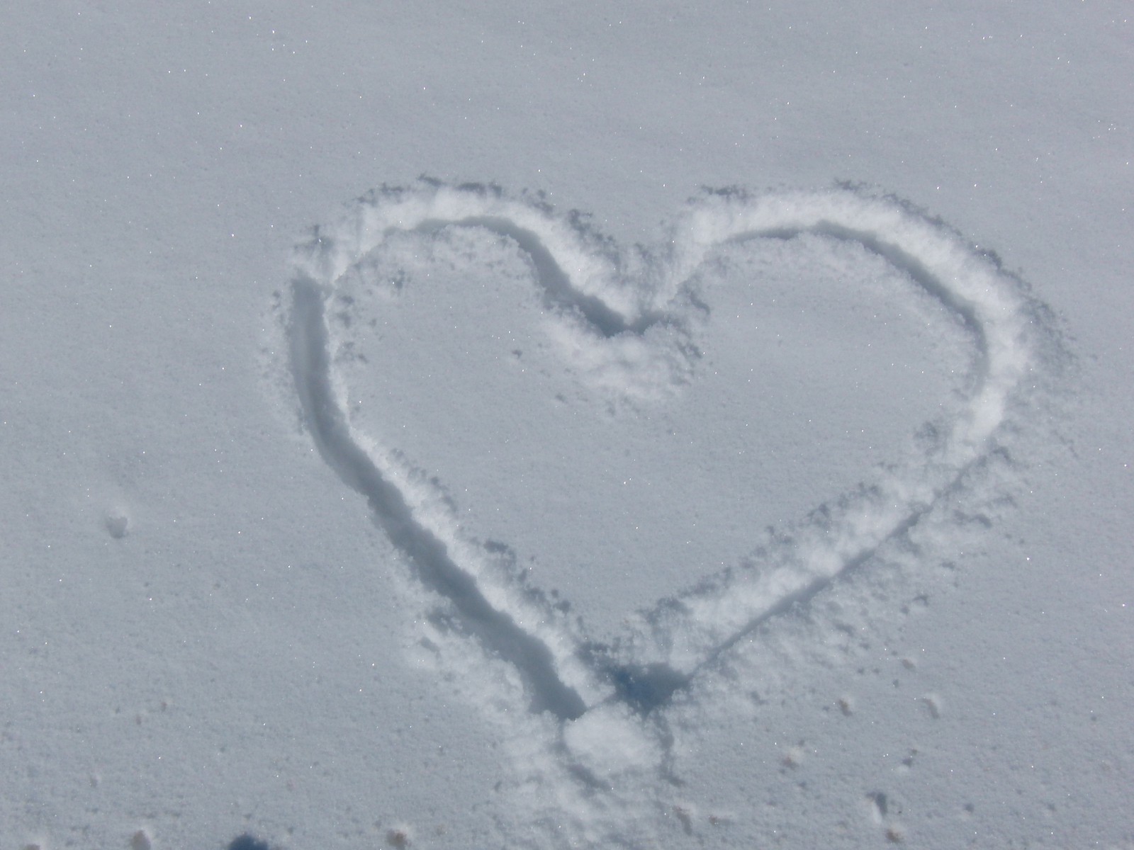 Schneeherz Schneeherz