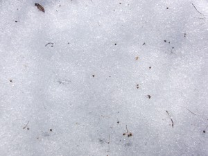  Schneetextur 4