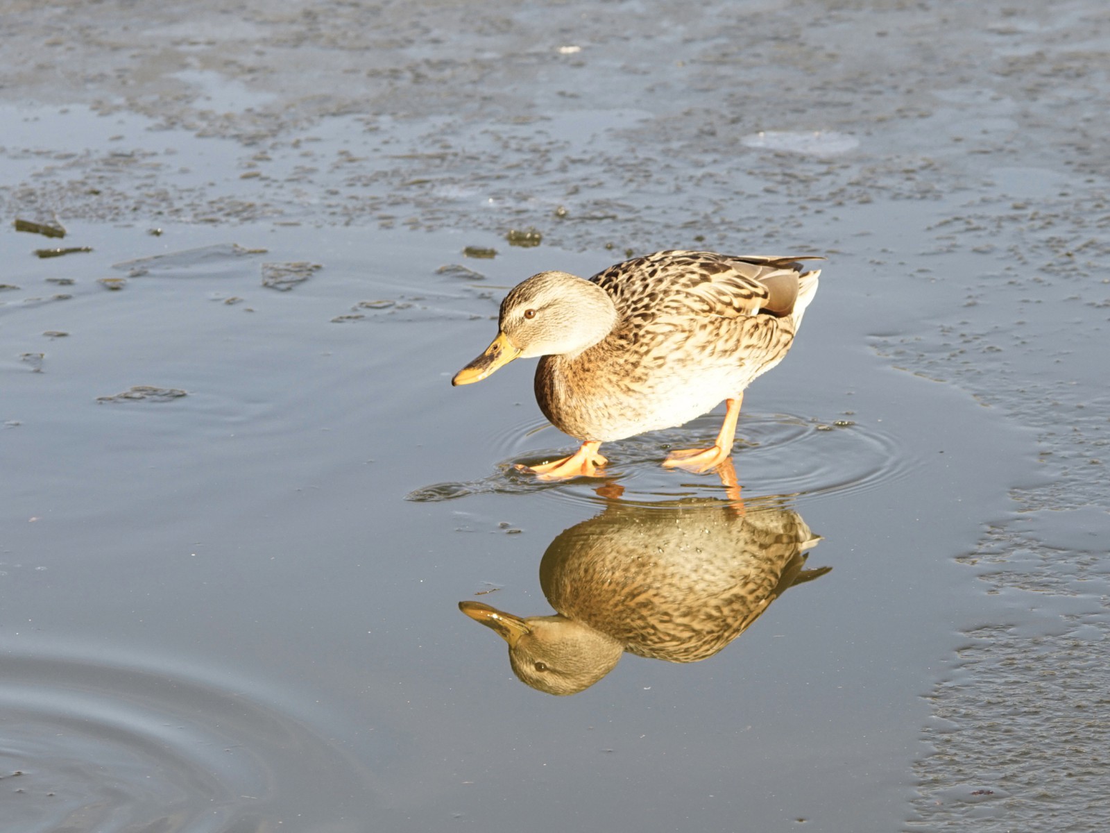 Bin ich das? Bin ich das?