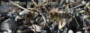 Auf dem Weg zur Arbeit FB Banner Auf dem Weg zur Arbeit FB Banner