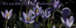 Auf ins Wochenende FB Banner Auf ins Wochenende FB Banner