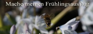 Biene Frühlingsausflug FB Banner Biene Frühlingsausflug FB Banner