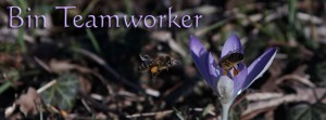 Teamworker Biene FB Banner Teamworker Biene FB Banner