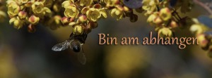 Bin am abhängen Biene FB Banner Bin am abhängen Biene FB Banner