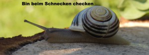 Bin beim Schnecken checken FB Banner Bin beim Schnecken checken FB Banner