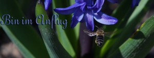Bin im Anflug FB Banner Bin im Anflug FB Banner