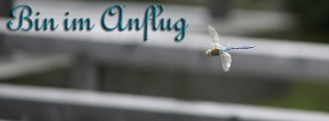 Bin im Anflug Libelle FB Banner Bin im Anflug Libelle FB Banner