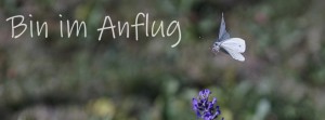 Bin im Anflug Weißling FB Banner Bin im Anflug Weißling FB Banner