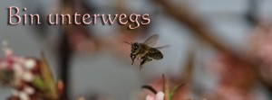 Bin unterwegs Biene FB Banner Bin unterwegs Biene FB Banner