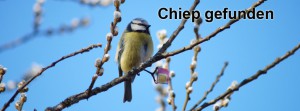 Chip gefunden FB Banner Chip gefunden FB Banner