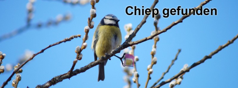  Chip gefunden