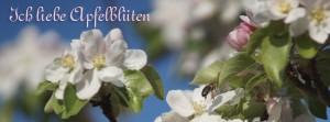 Ich liebe Apfelblüten FB Banner Ich liebe Apfelblüten FB Banner