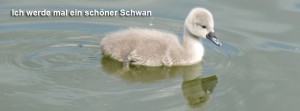 Ich werde mal ein schöner Schwan FB Banner Ich werde mal ein schöner Schwan FB Banner