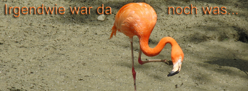 Irgendwie war da noch was FB Banner Irgendwie war da noch was FB Banner