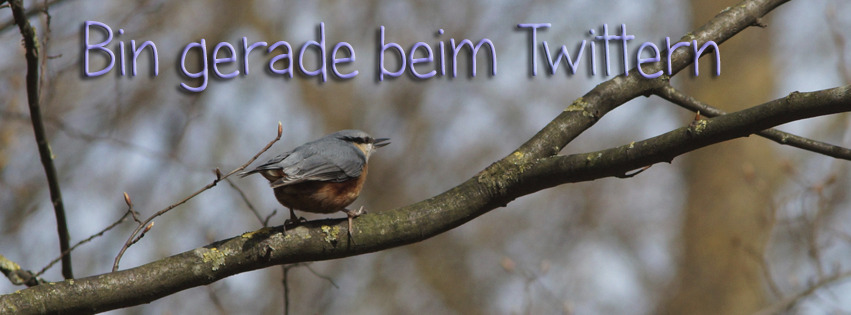 Kleber beim Twittern FB Banner Kleber beim Twittern FB Banner