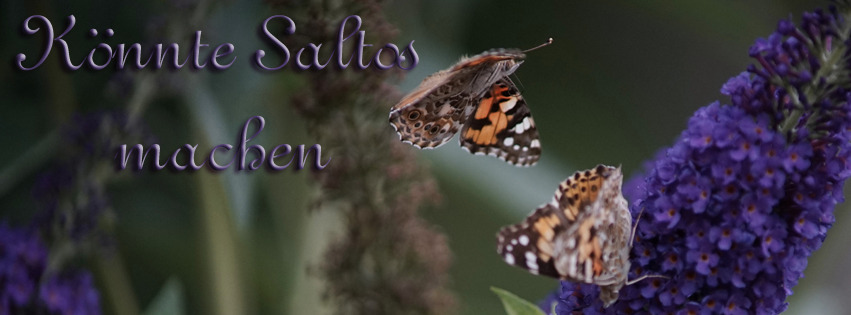 Könnte Saltos machen FB Banner Könnte Saltos machen FB Banner